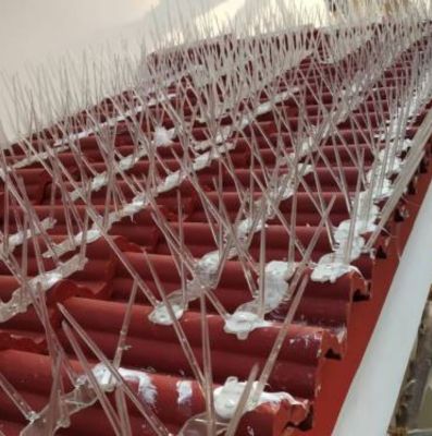 The Best Usage of The fiber Internet Broadband